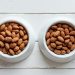 découvrez les principales différences entre les croquettes et la nourriture humide pour chien, leurs avantages et inconvénients afin de choisir la meilleure alimentation pour votre compagnon.