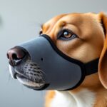 découvrez comment l'utilisation d'un modèle en forme de panier peut rendre le port de la muselière plus confortable pour votre animal, tout en respectant les obligations légales.