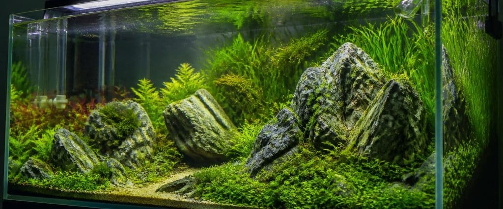 Collection Aquariophilie — bacs et technique