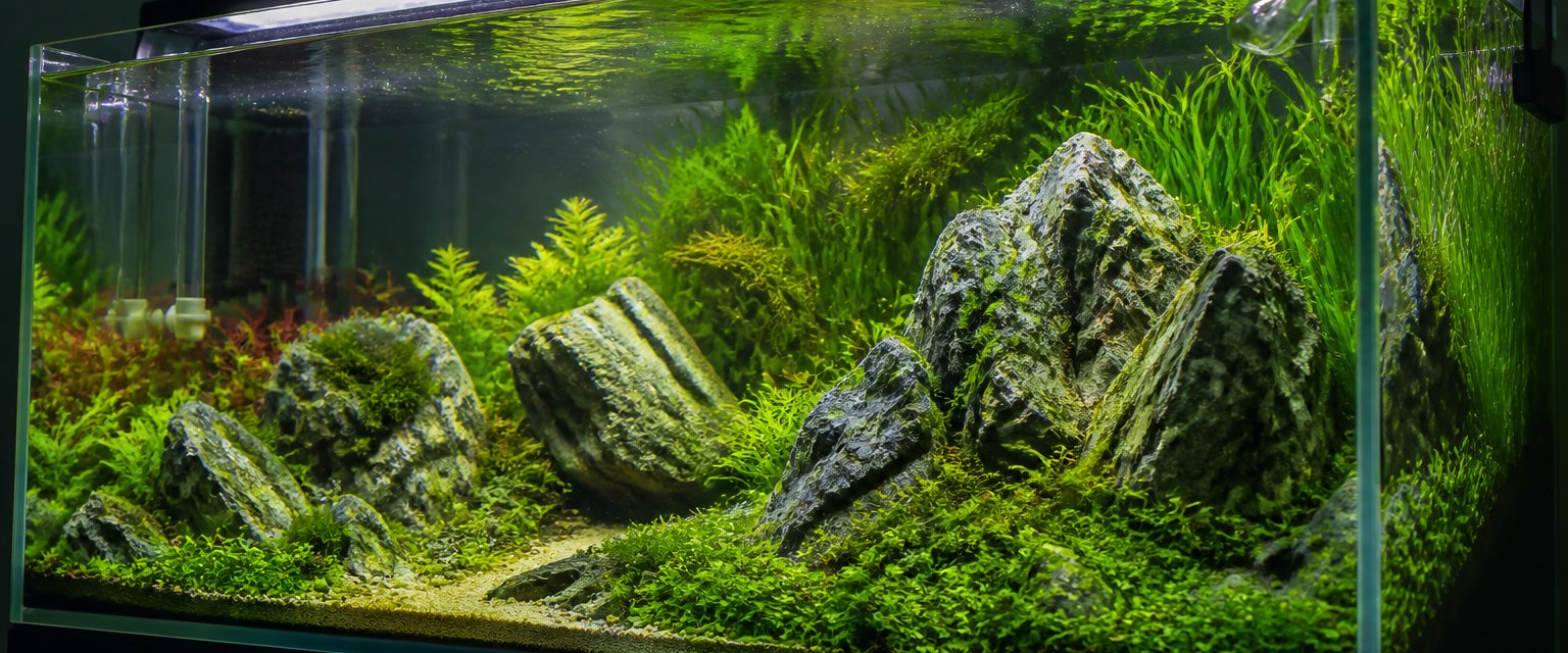 Aquariophilie — bacs et technique
