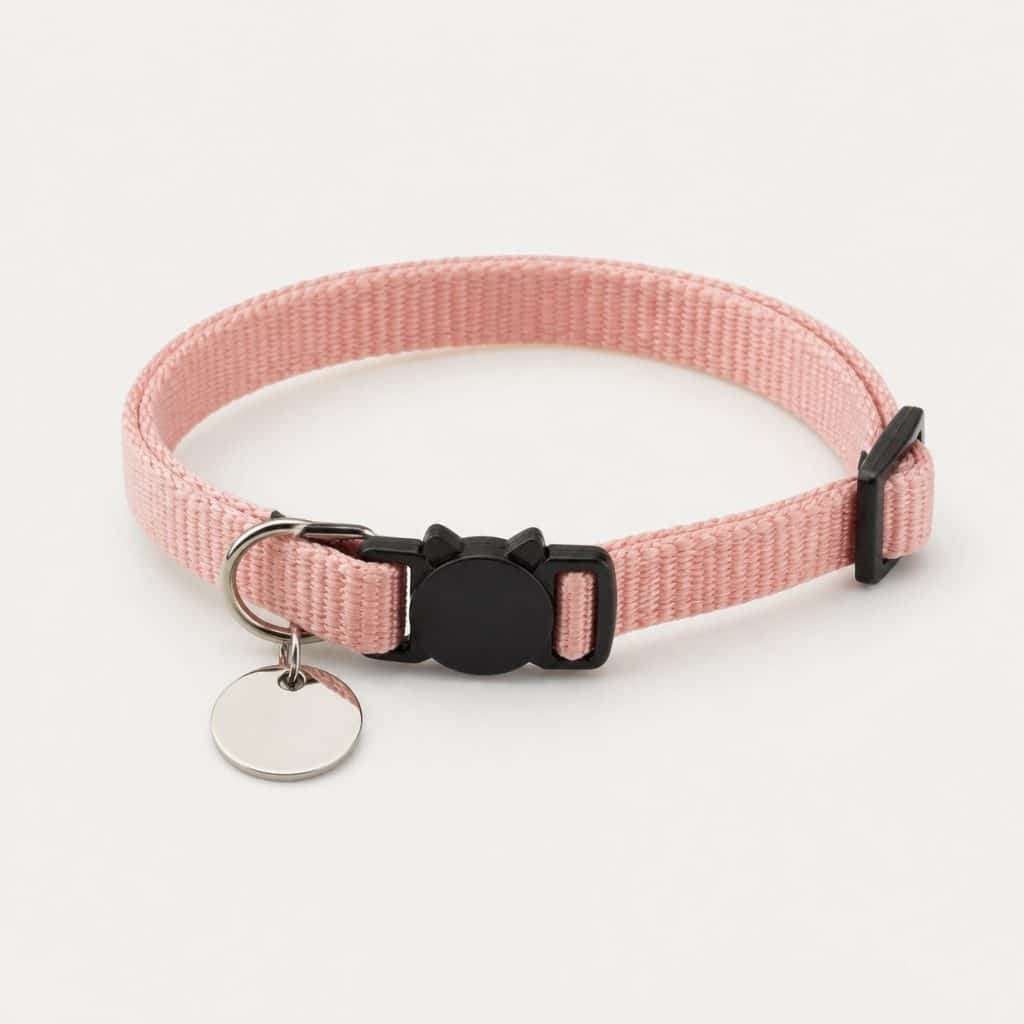 Collier avec médaille d'identification pour chat posé à plat