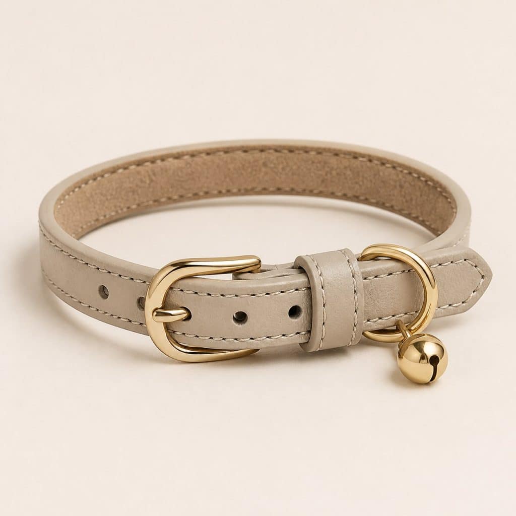 Collier en cuir pour chat posé à plat