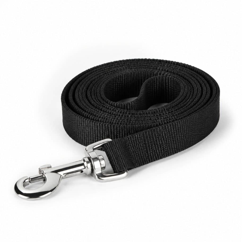 Laisse nylon légère pour chat enroulée