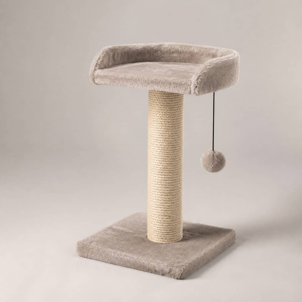 Petit arbre à chat compact pour chaton, vue produit sur fond neutre