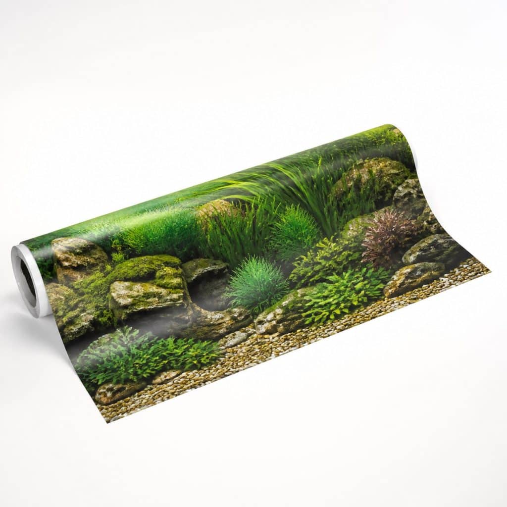 Poster décoratif pour fond d'aquarium, photo produit sur fond blanc