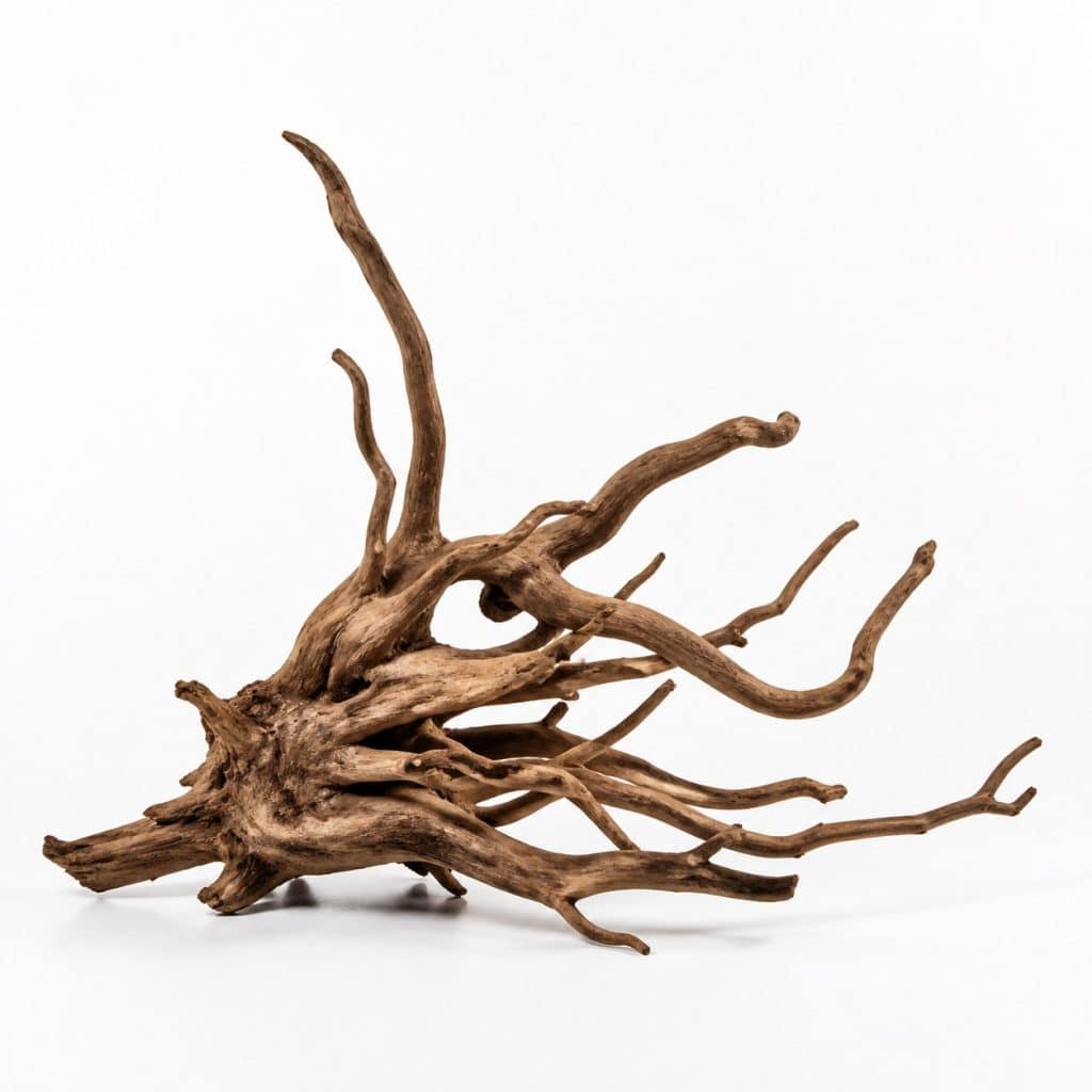 Racine de bois naturelle pour aquarium, photo produit sur fond blanc