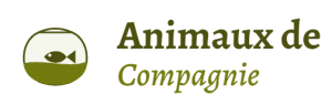 Animaux de Compagnie